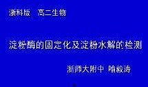淀粉厂最新爆料视频,最新爆料视频曝光惊人内幕