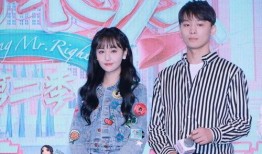 娱乐圈吃瓜鹅,揭秘明星背后的故事与真相